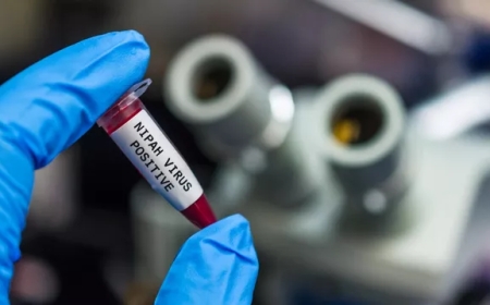 “Вакцина нужна как можно скорее”. Грозит ли миру эпидемия вируса Нипах