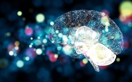 Когнитивное долголетие. Ученые ищут пути сохранения умственного здоровья