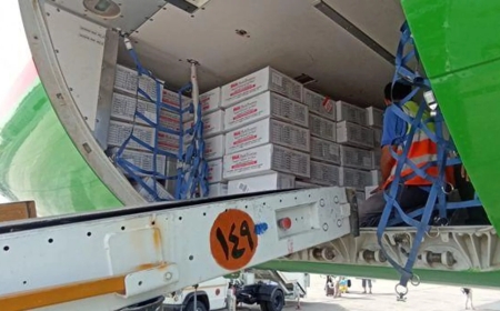 Египет продолжает помогать Узбекистану бороться с опасным заболеванием