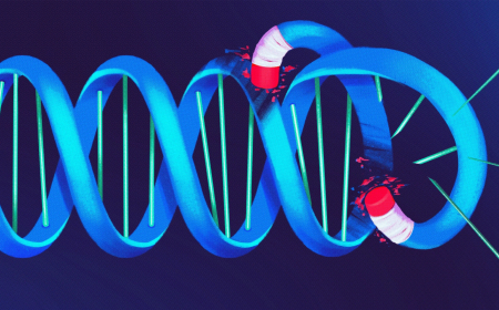 Чтобы защитить геном, эти клетки уничтожают собственную ДНК 