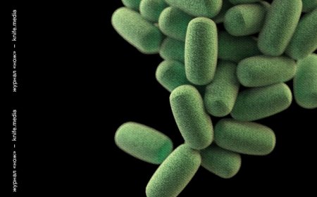 Лечение на новый лад. Что пациенты получат от клинических рекомендаций нового образца