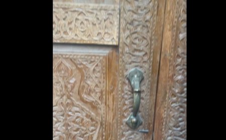 Уникальная дверь в Государственной научной Медицинской библиотеке