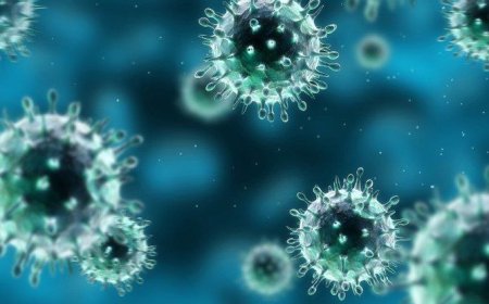 Возможности лечения ОРВИ фитопрепаратами в рутинной клинической практике