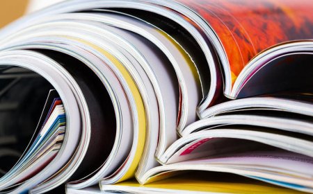 Журналы открытого доступа на платформах мировых издательств