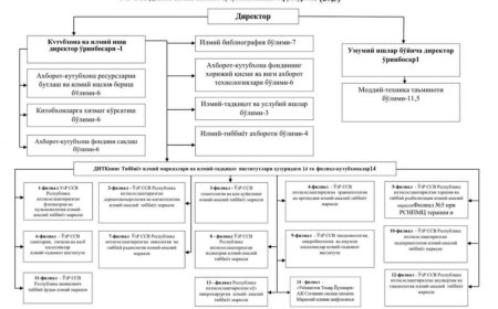Библиотеки-филиалы ГНМБ в г. Ташкенте, Структура ЦБС ГНМБ