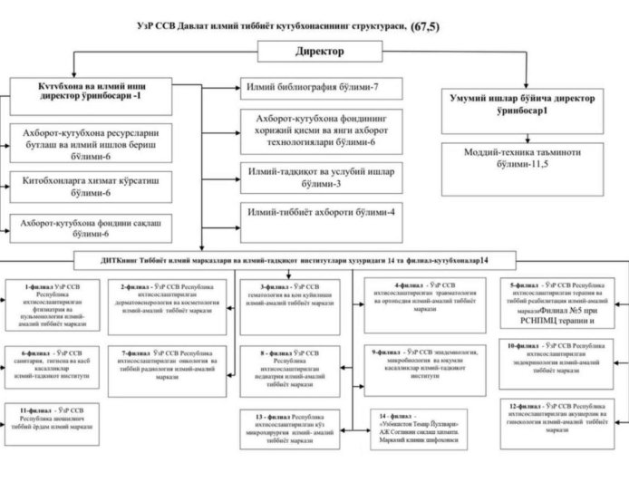 Библиотеки-филиалы ГНМБ в г. Ташкенте, Структура ЦБС ГНМБ