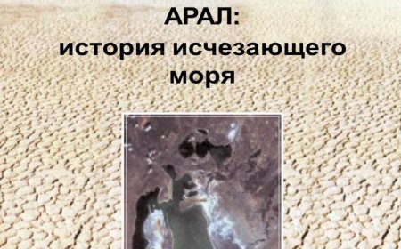 Арал: история исчезающего моря.- Душанбе: Международный фонд спасения Арала, 2003