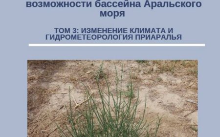 Сборник научных исследований и статей, освещающих проблемы и возможности бассейна Аральского моря. Том 3: Изменение климата и гидрометеорология Приаралья. Проект USAID по восстановлению экосистемы на осушенном дне Аральского Моря – II. Издание 1, июль 2024г., 31с.