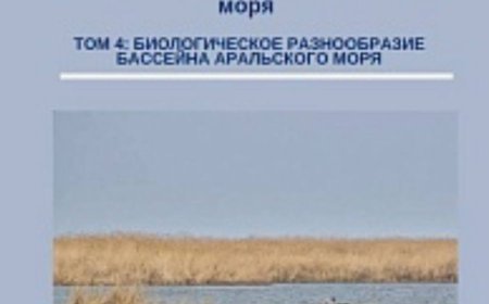 Сборник научных исследований и статей, освещающих проблемы и возможности бассейна Аральского моря. Том 4: Биологическое разнообразие бассейна Аральского моря. Проект USAID по восстановлению экосистемы на осушенном дне Аральского Моря – II. Издание 1, июль 2024г., 22с.