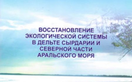 ВОССТАНОВЛЕНИЕ ЭКОЛОГИЧЕСКОЙ СИСТЕМЫ В ДЕЛЬТЕ СЫРДАРИИ И СЕВЕРНОЙ ЧАСТИ АРАЛЬСКОГО МОРЯ: Монография, 2010