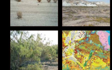 Аральское море и Приаралье Обобщение работ НИЦ МКВК по мониторингу состояния и анализу ситуации.- Ташкент: ЮНЕСКО , 2017