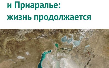 Аральское море и Приаралье: жизнь продолжается.- Ташкент: Научно-информационный центр Межгосударственной координационной водохозяйственной комиссии Центральной Азии, 2020