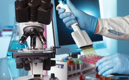 Как оплачивается экспертиза научных диссертаций и связанные с ней дополнительные расходы  ВАК