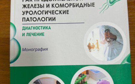 Рак предстательной железы и коморбидные урологические патологии. Диагностика и лечение: Монография, 2025