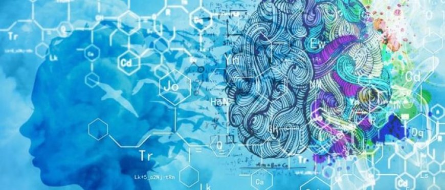 Претенденты на исследовательскую стажировку, базовую докторантуру (PhD), самостоятельное соискательство (PhD) должны предоставить следующие документы