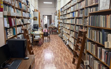 Поступление "Новой литературы" Часть 2