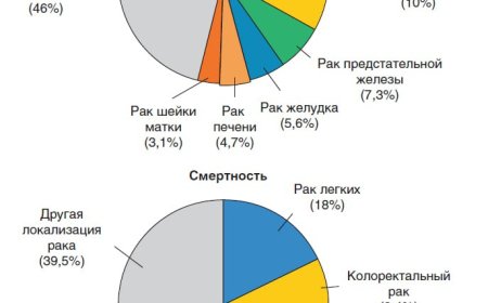 Заболеваемость и смертность в структуре злокачественных онкологических заболеваний (GLOBOCAN, 2020)