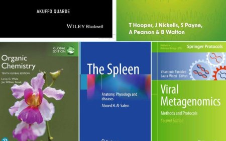 Обзор зарубежной литературы