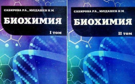 Сабиров Р. А  (на русском 2019 г.  и узбекском языке 2020 и 2024)
