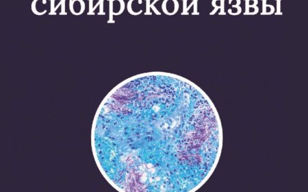 Горшков-Кантакузен В. А. Мистерии сибирской язвы., 2026