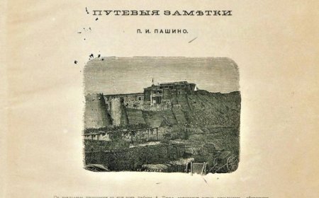 Туркестанский край в 1866 году. Путевые заметки П.И. Пашино.- С.-Петербург, 1868