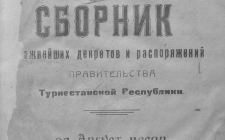 Сборник важнейших декретов и распоряжений правительства Туркестанской республики, 1920