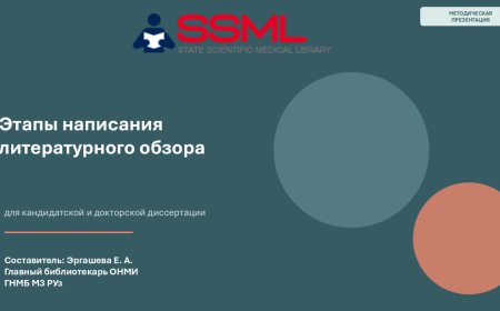 Этапы написания литературного обзора для кандидатской и докторской диссертации